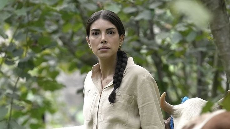 Sudiş | EsDil🕊 tweet media