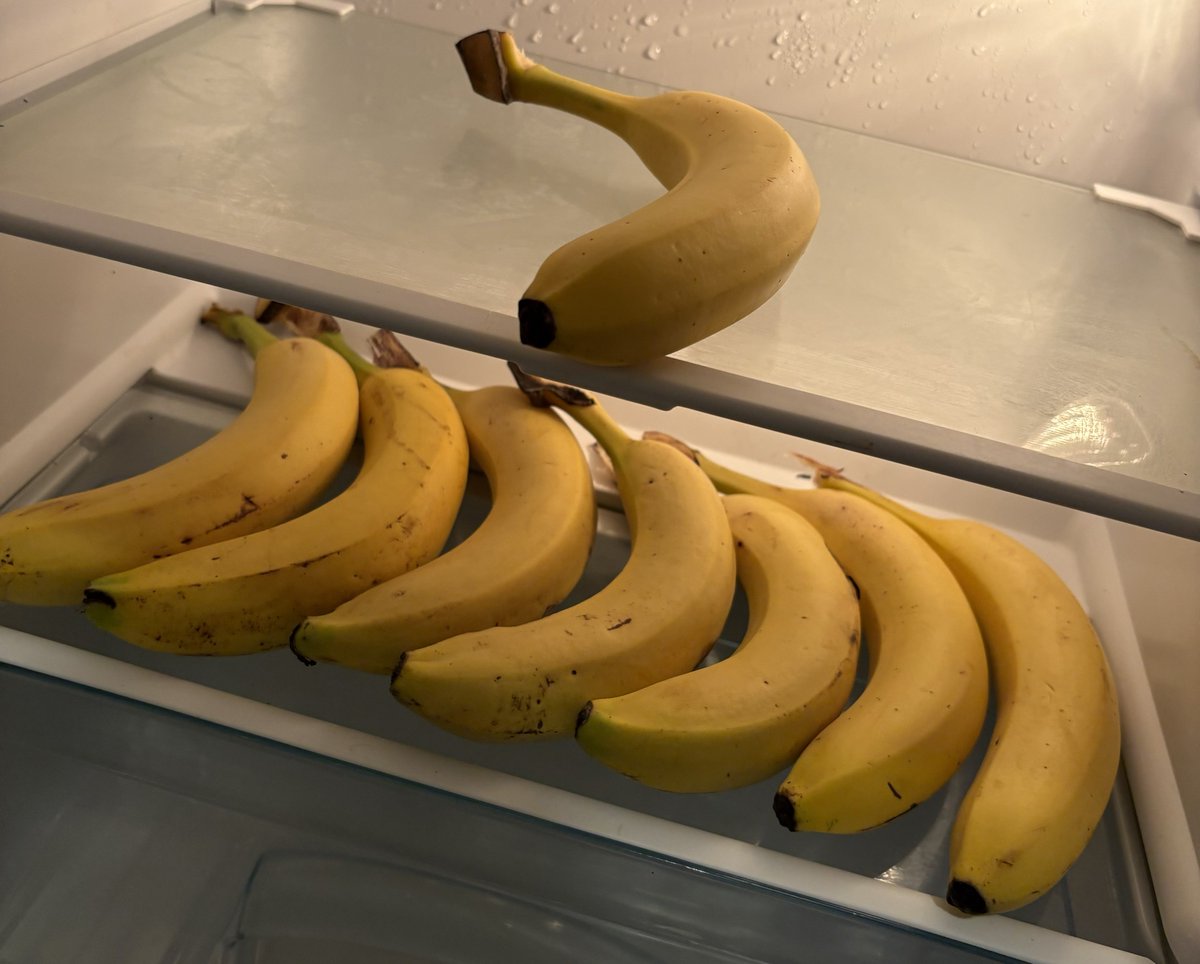 ありさ tweet media