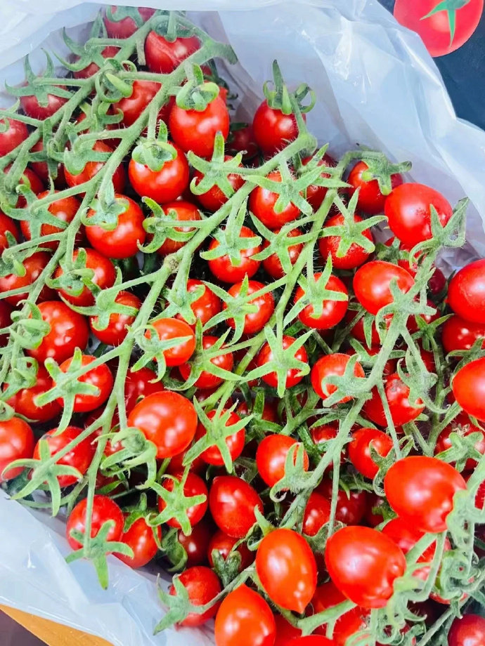 Carl Fjeld tweet media