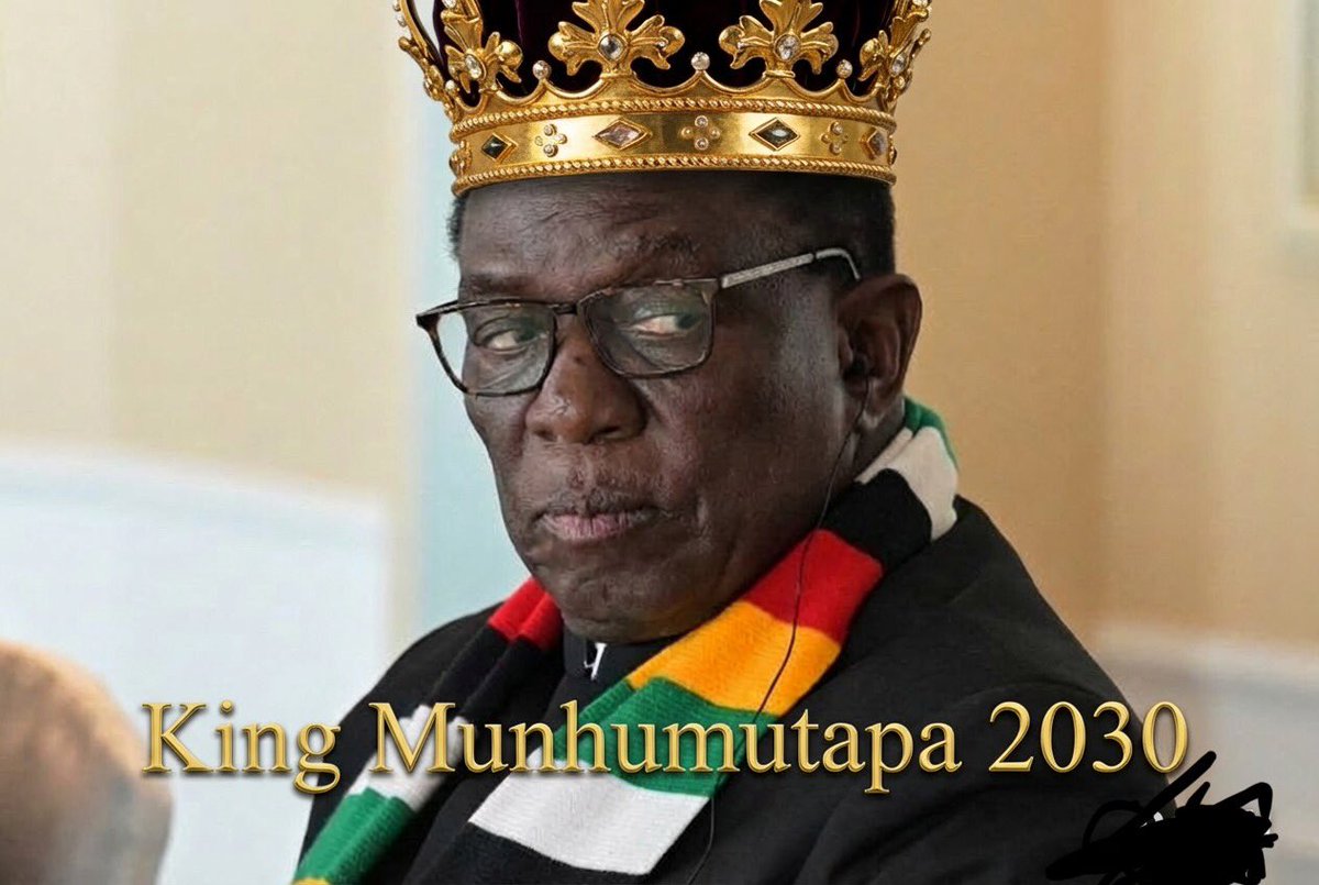 President Anti 2030 /Tyora Zvigananda tweet media