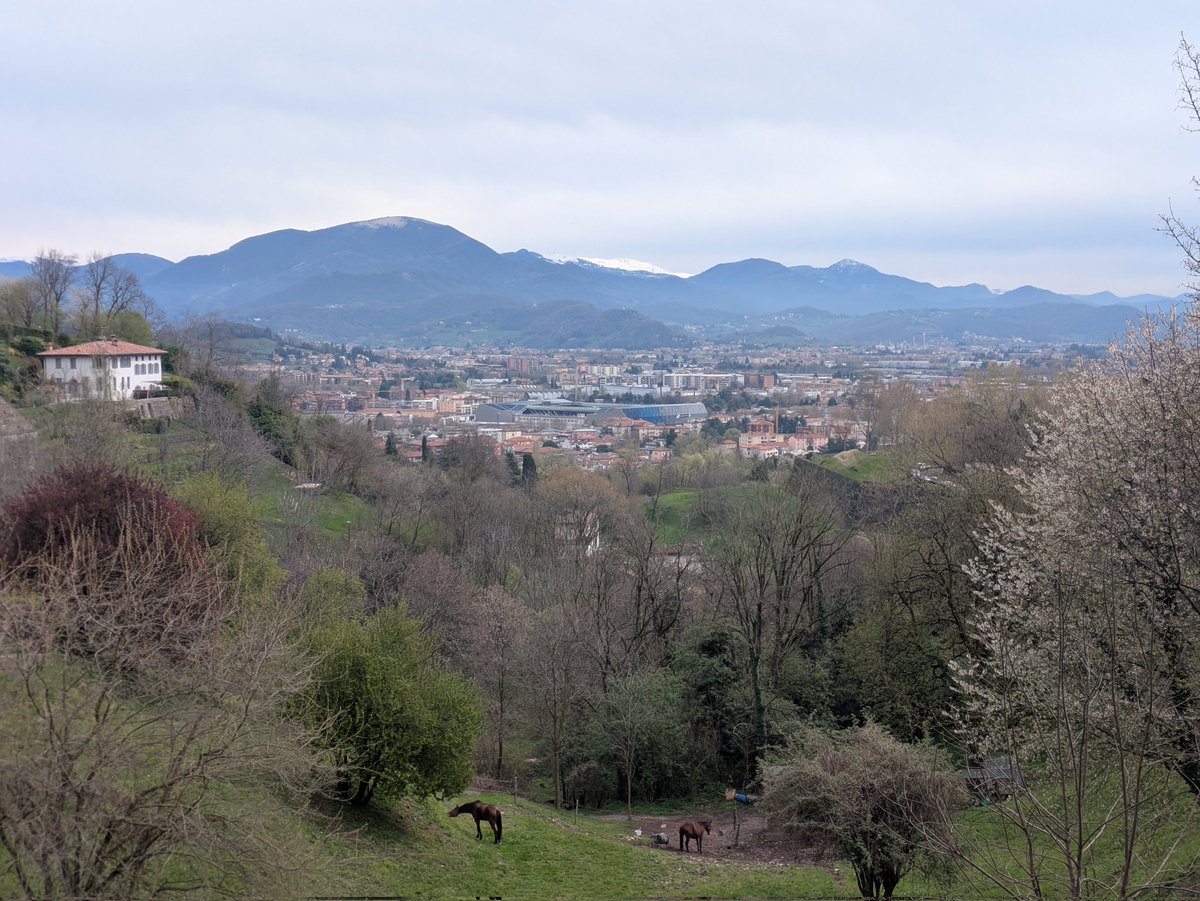 Richard Henry tweet media