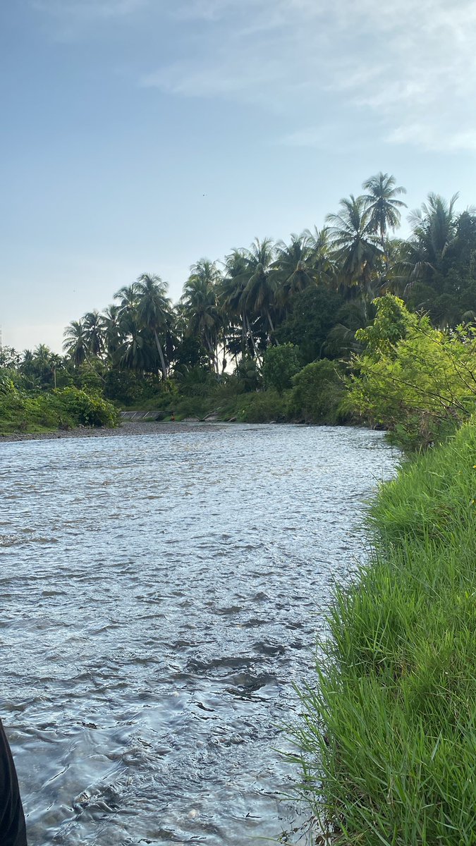 baterflay | bil tweet media