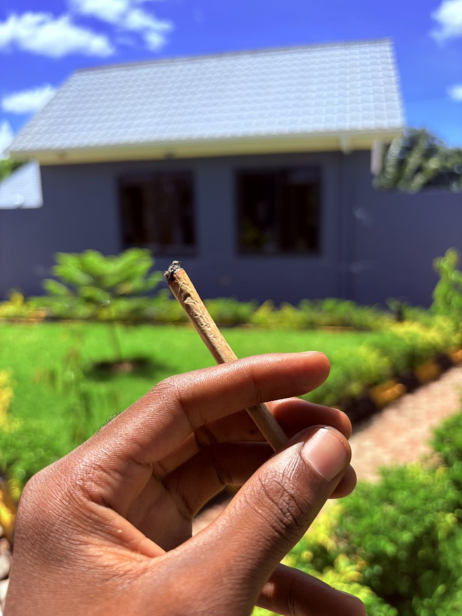 International Stoner 👽 tweet media