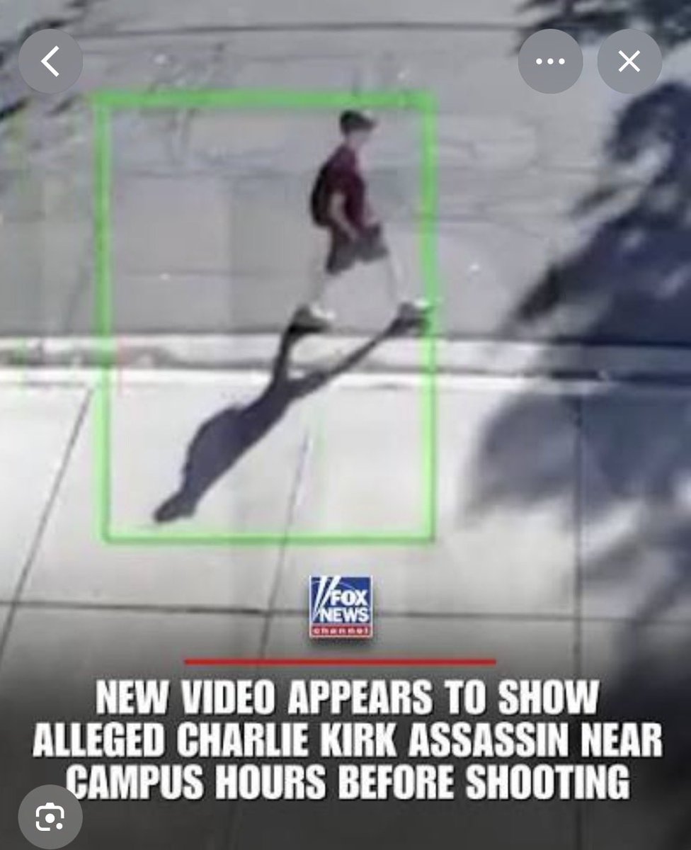 KeepCalm&DYOR tweet media