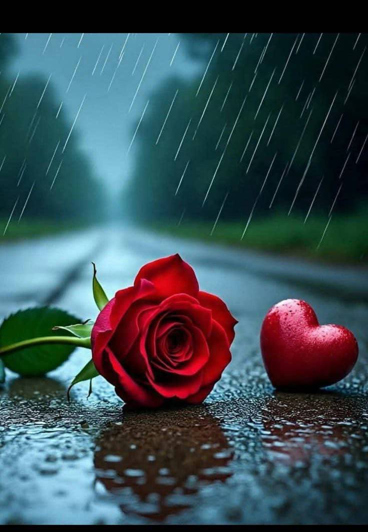 أمل وأمنيات tweet media