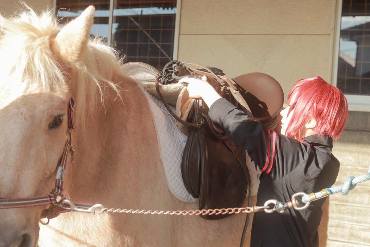 ぎもーぶ tweet media