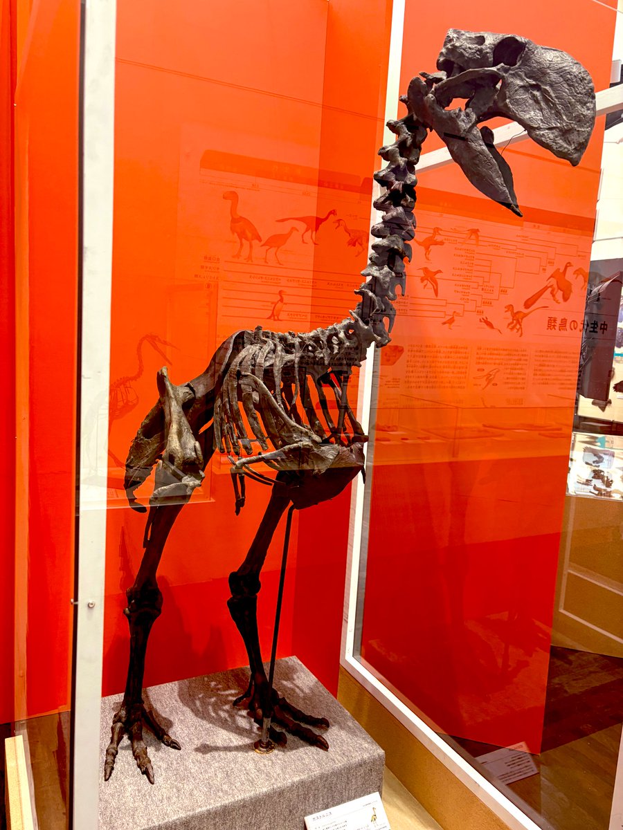 ▽コロポテ tweet media