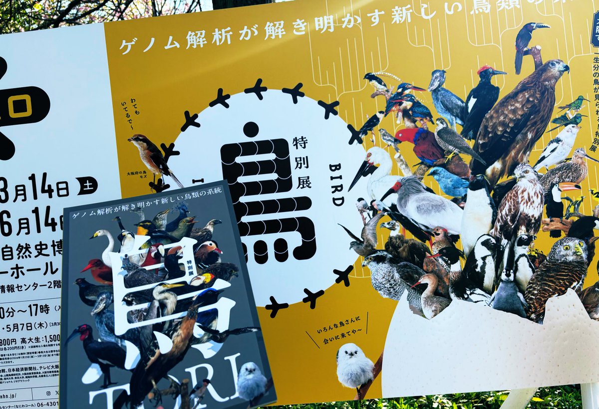 ▽コロポテ tweet media