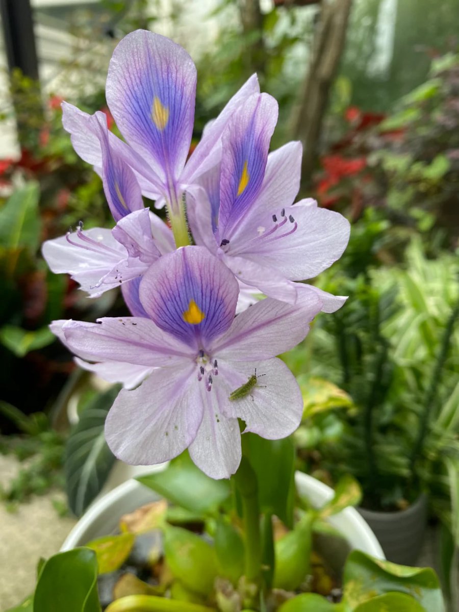 45歲小阿姨 tweet media