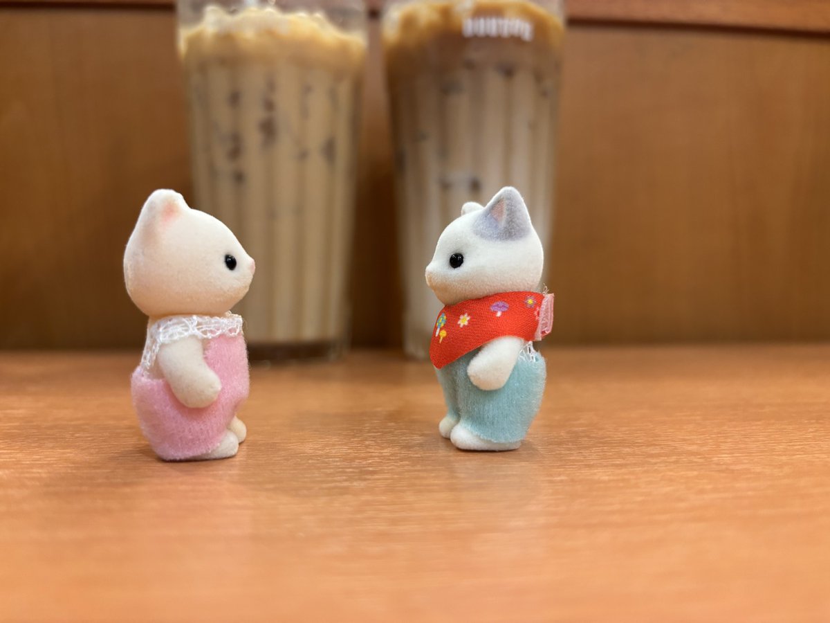 ねここねこ@メイン垢変えたよ tweet media