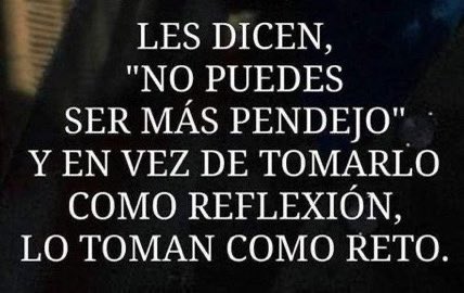 Lily 💬 tweet media