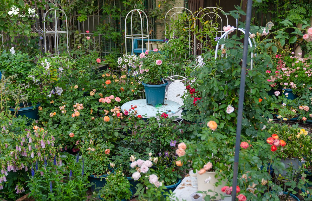 Quinn Sawyer tweet media