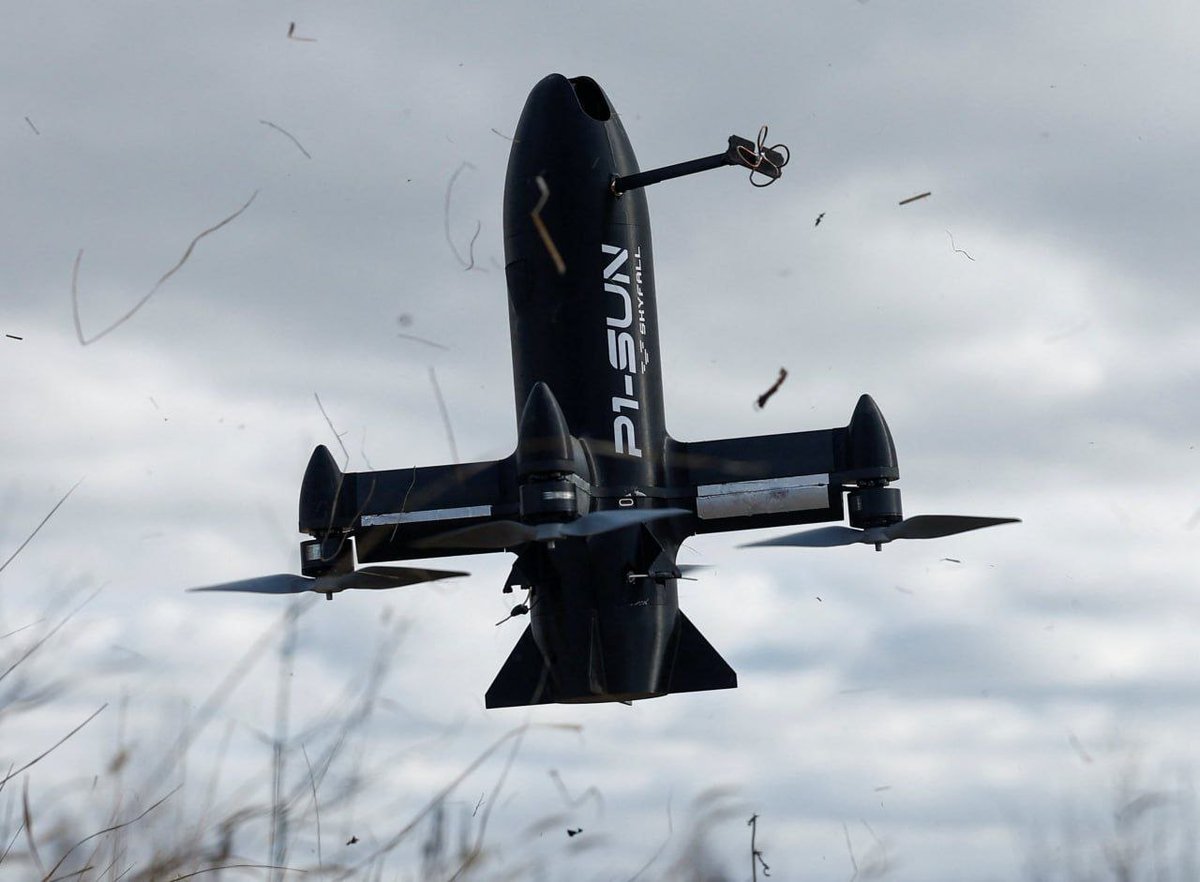 414 Magyar's Birds tweet media