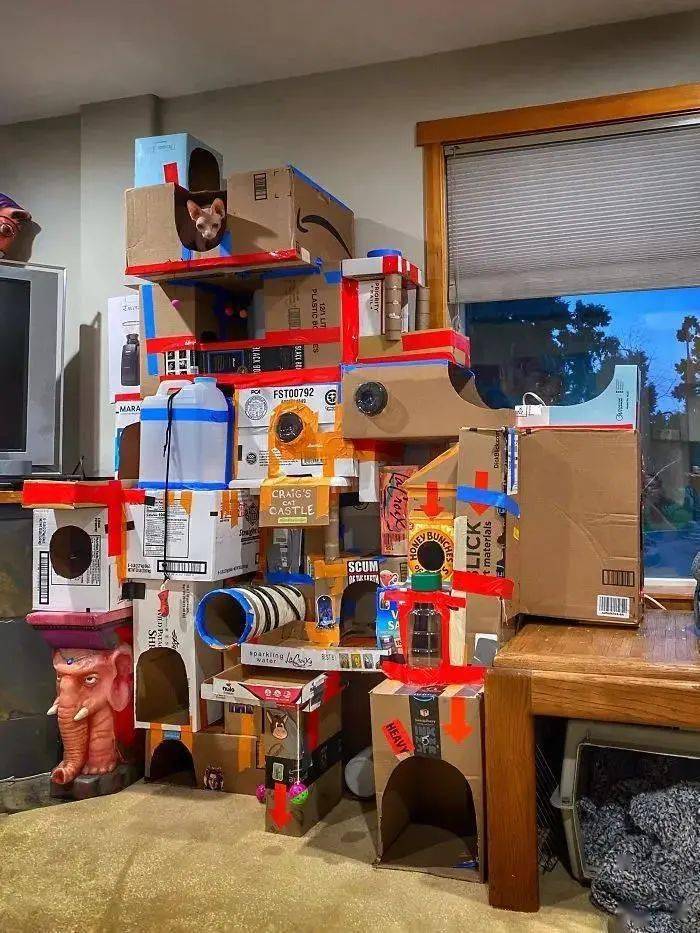 Edgar Alfonso tweet media