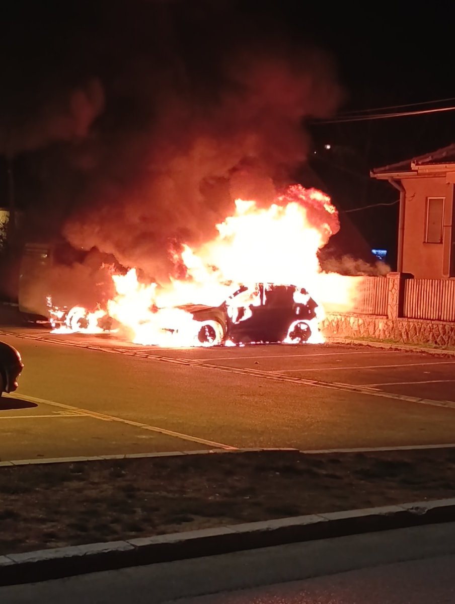 M.Despotovic tweet media