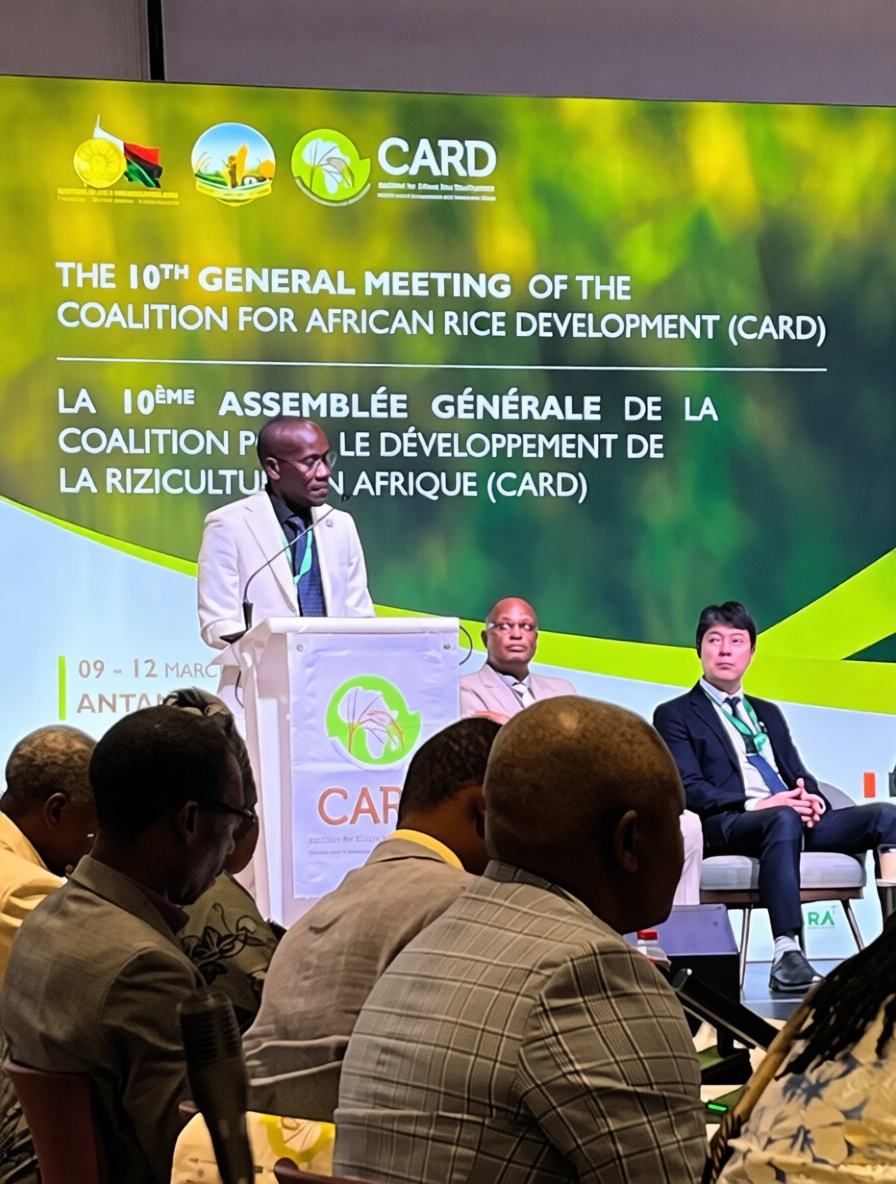 faosfsafrica's tweet photo. Africa spends 💰USD 6 billion every year on rice imports🌾.

What needs to change and how fast?

Experts unpack solutions at the CARD meeting in Madagascar🇲🇬 👇

🔗📰 Dive into the story: https://t.co/o26VecMFkC https://t.co/OAWbVXCYdo