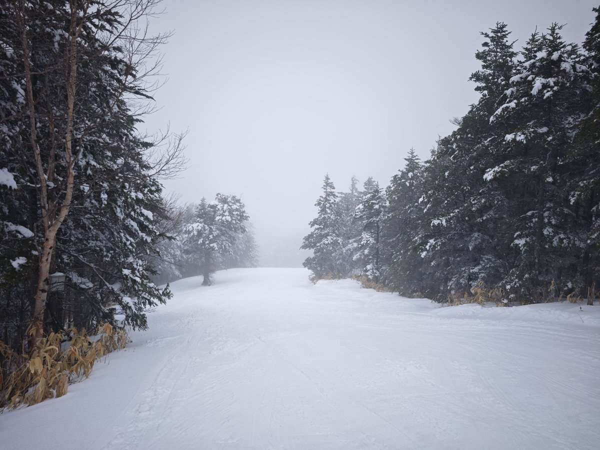 8滑り目@野麦峠スキー場
スキー板が滑らない雪で撃沈。