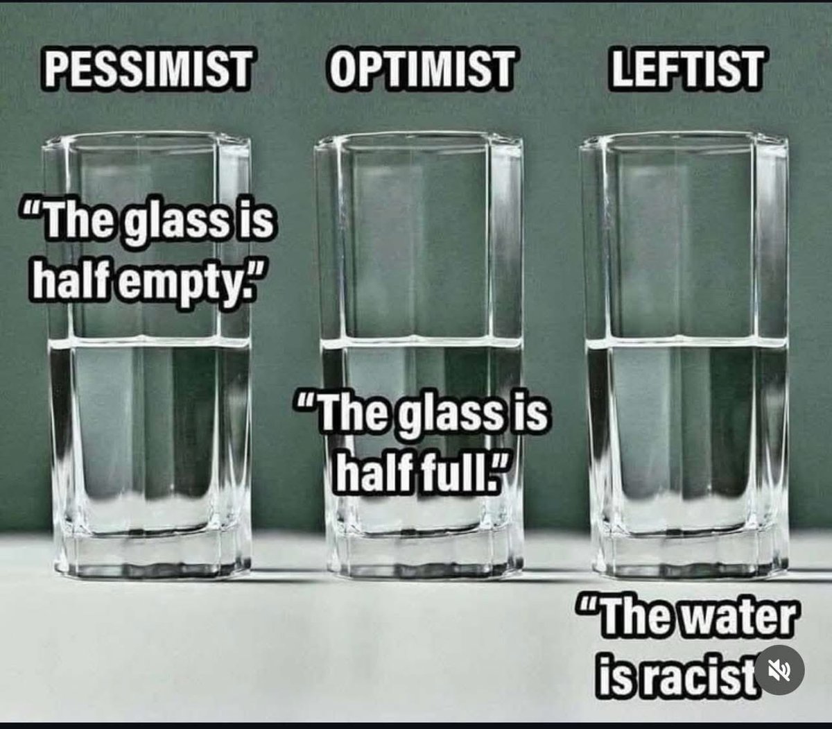 LyonsTruths 🏴󠁧󠁢󠁥󠁮󠁧󠁿 tweet media