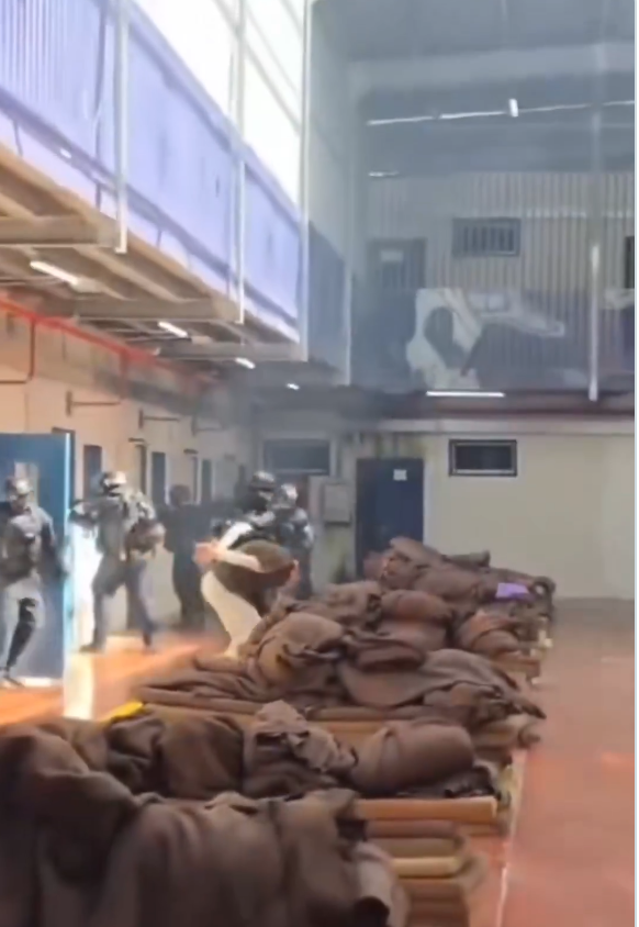 Josselyne Abadie tweet media