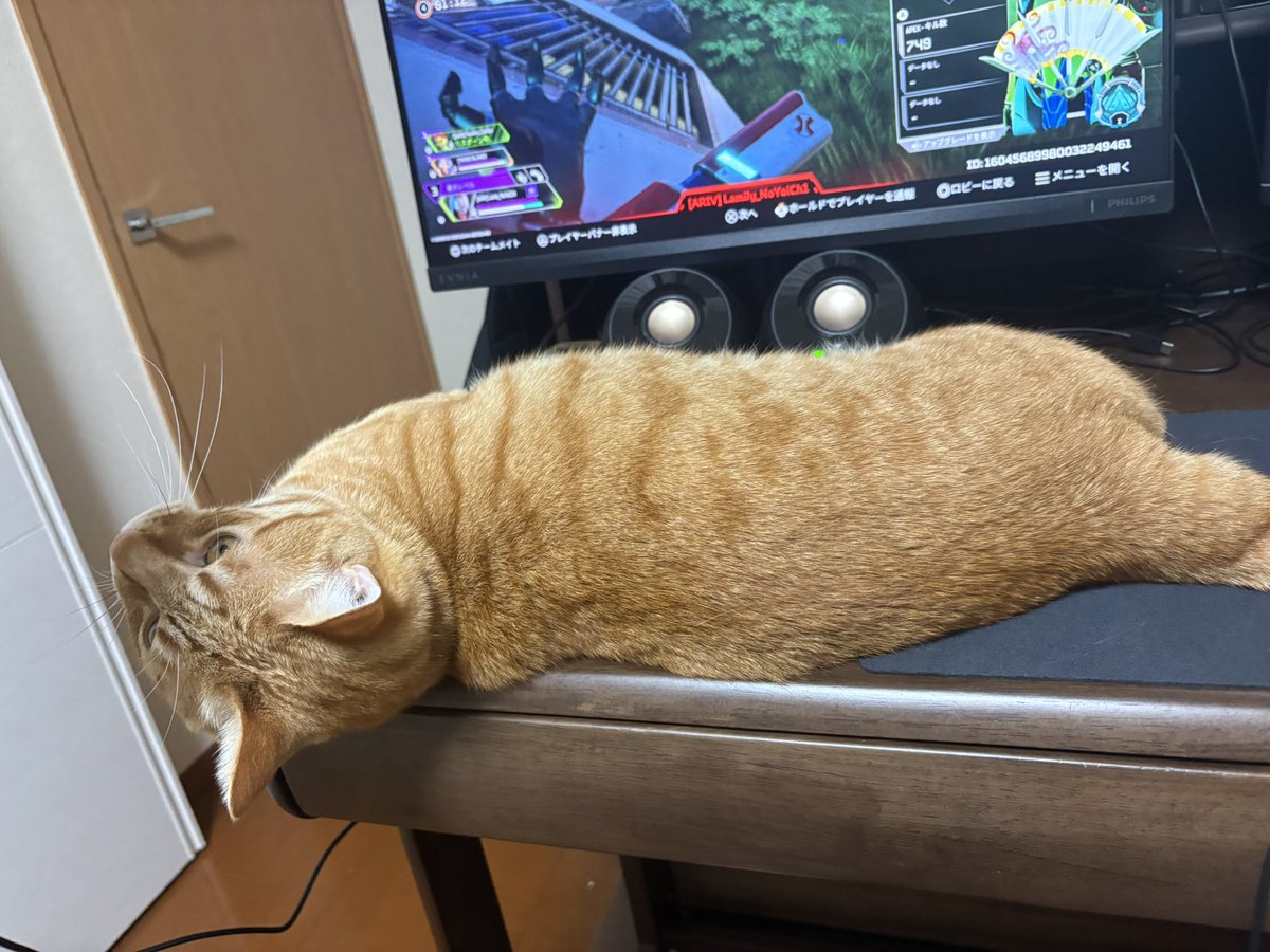 FIRE🔥 tweet media