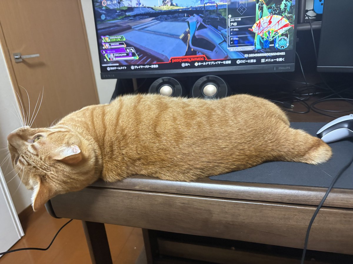 FIRE🔥 tweet media