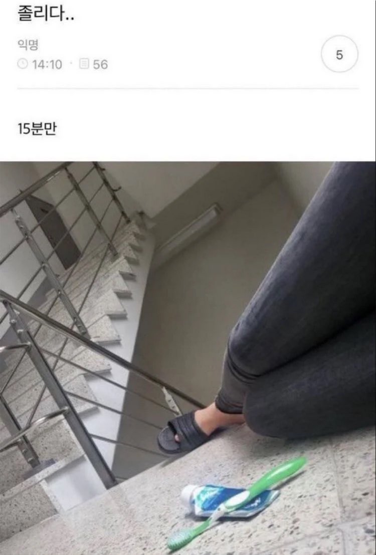 주초영 tweet media