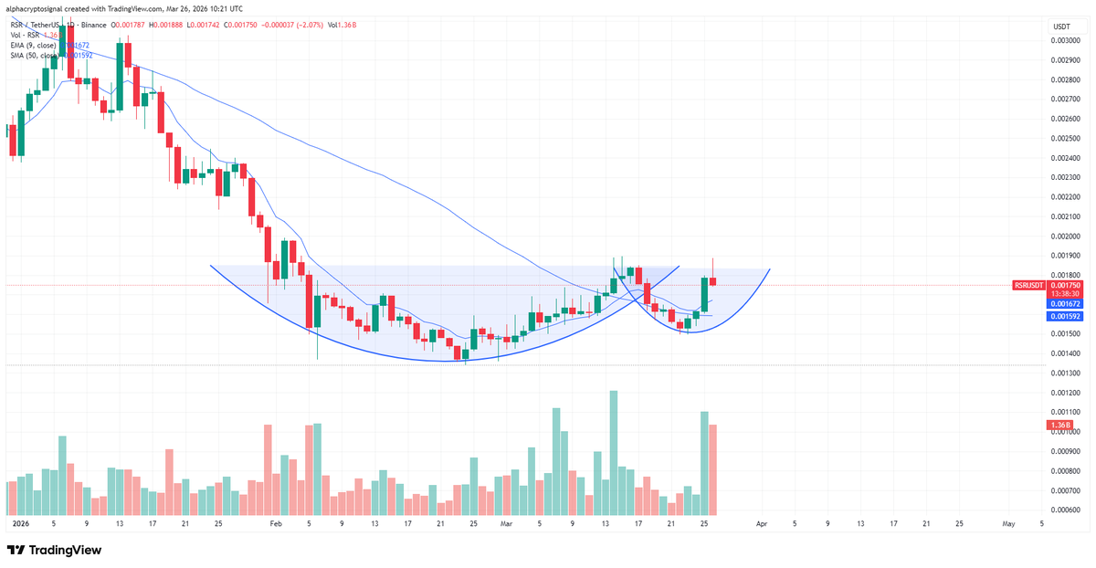Alpha Crypto Signal tweet media