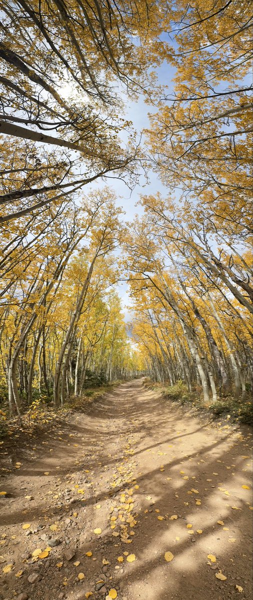 D Miller tweet media