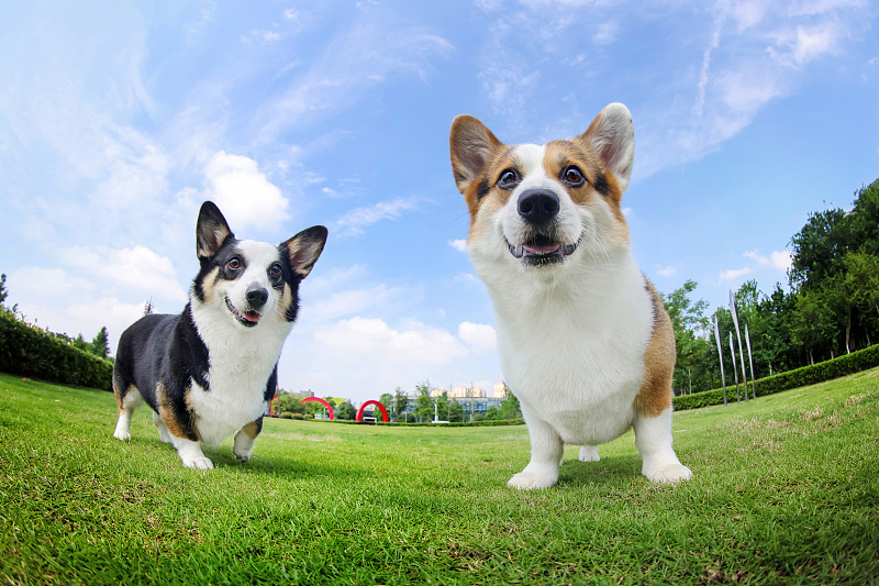 wendy sprewer tweet media