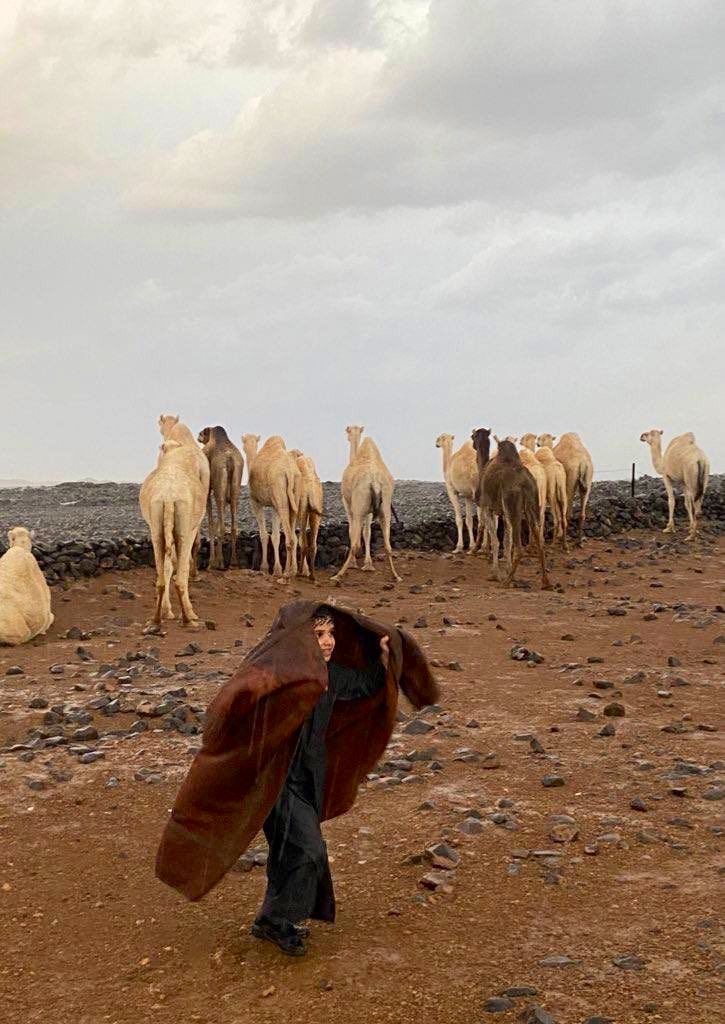 @ 𝐏𝐞𝐫𝐟𝐞𝐜𝐭𝐥𝐲 𝐒𝐩𝐥𝐞𝐧𝐝𝐢𝐝 tweet media