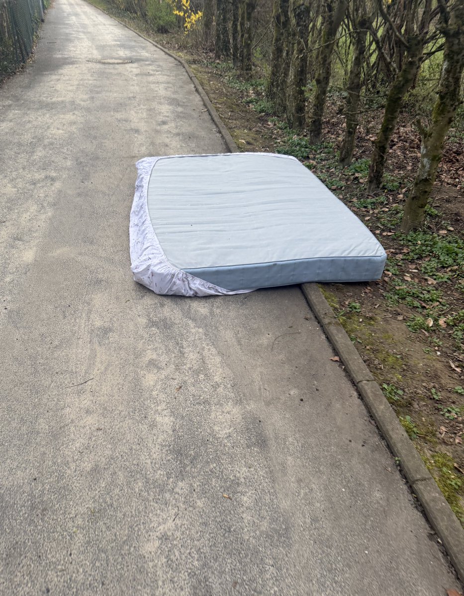 𝓜🌺 tweet media