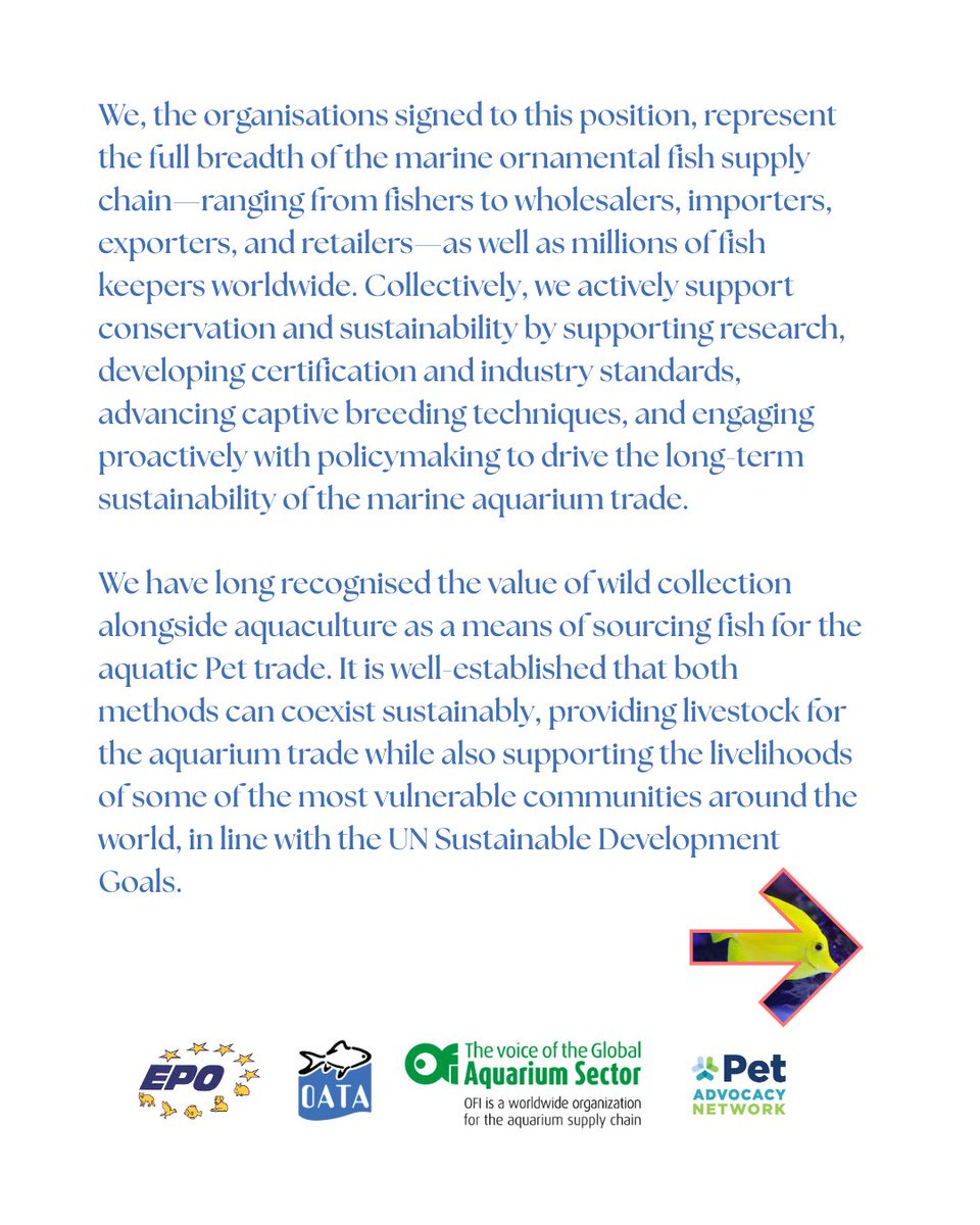 OATA Ltd tweet media