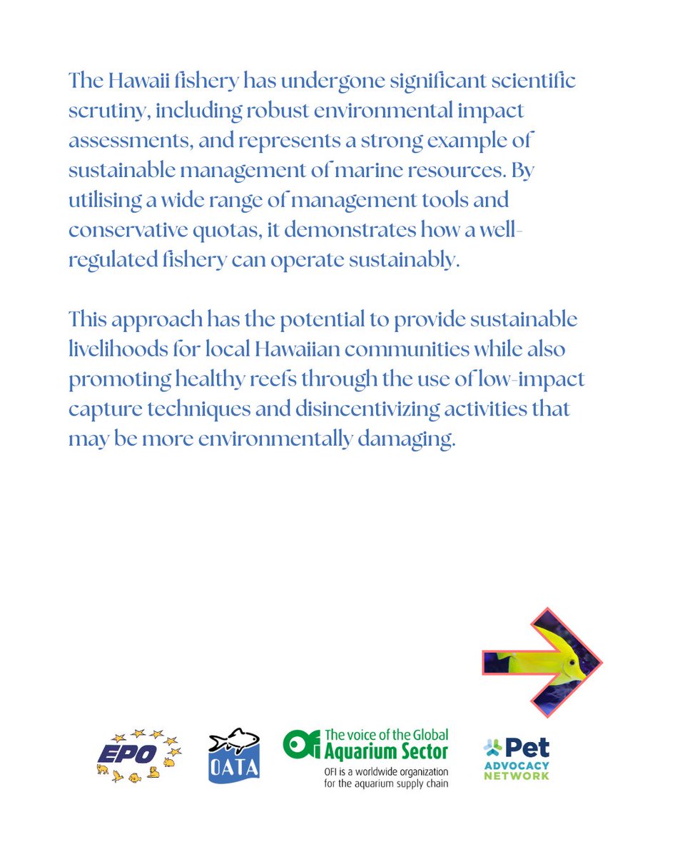 OATA Ltd tweet media