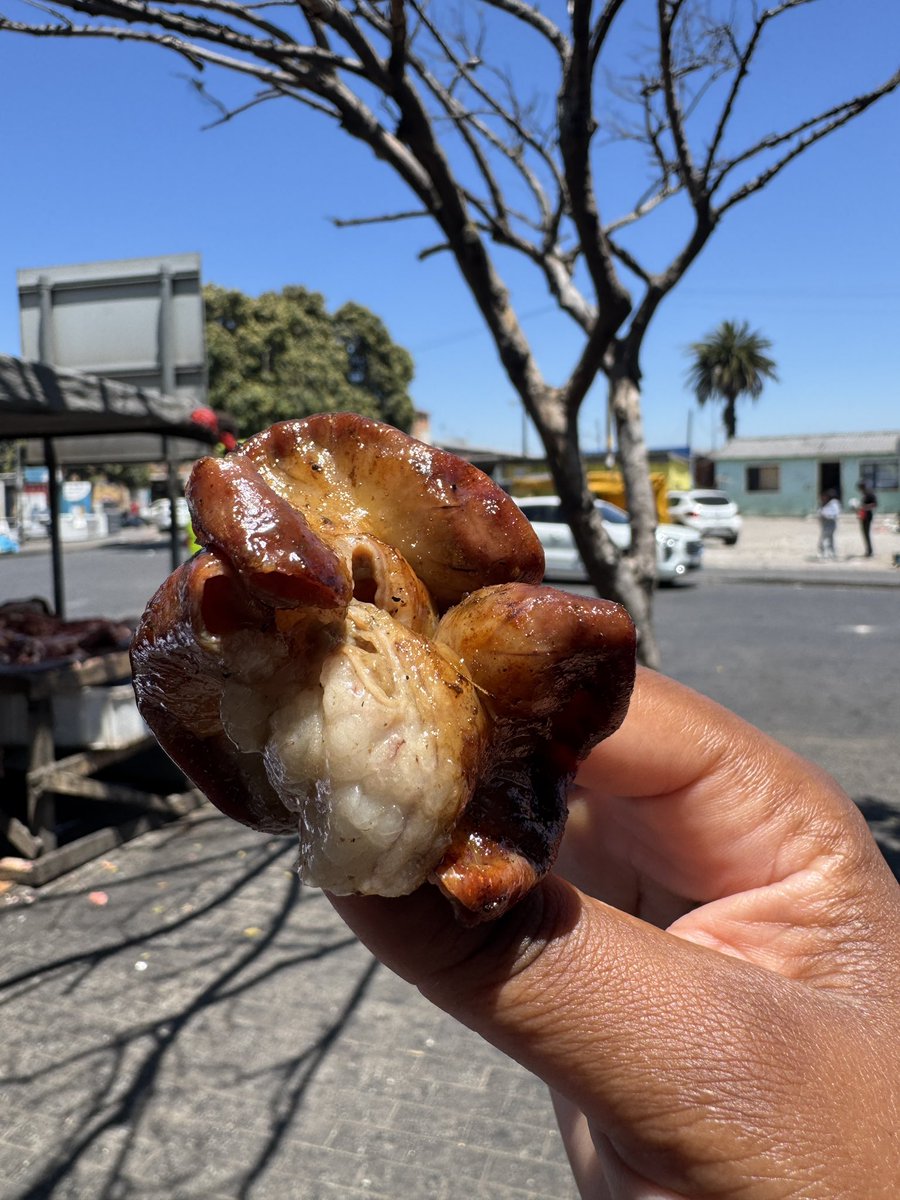 BobCutKaHelenZille tweet media