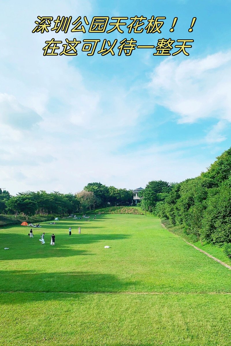 Kelly Schulman tweet media