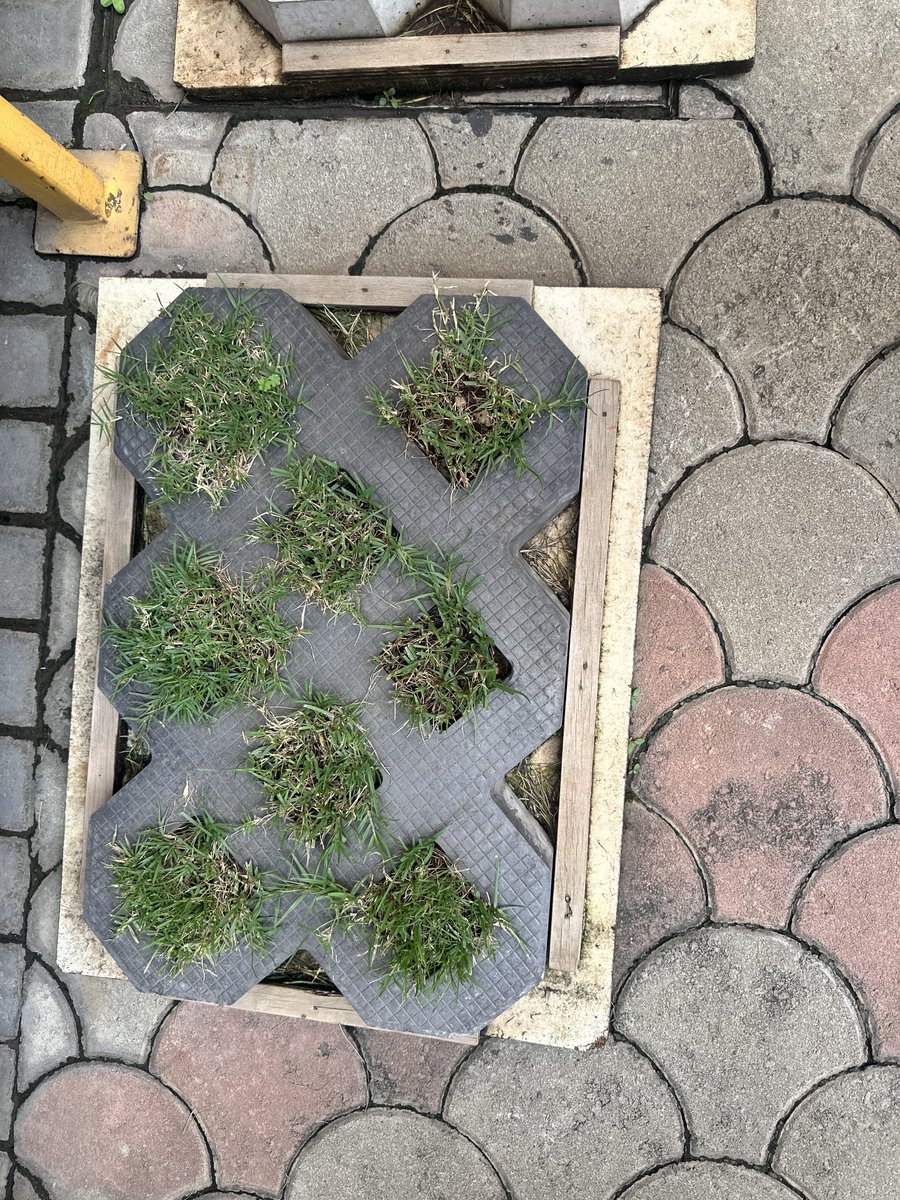 Sacrinos Π 🇰🇪✊🏿 tweet media