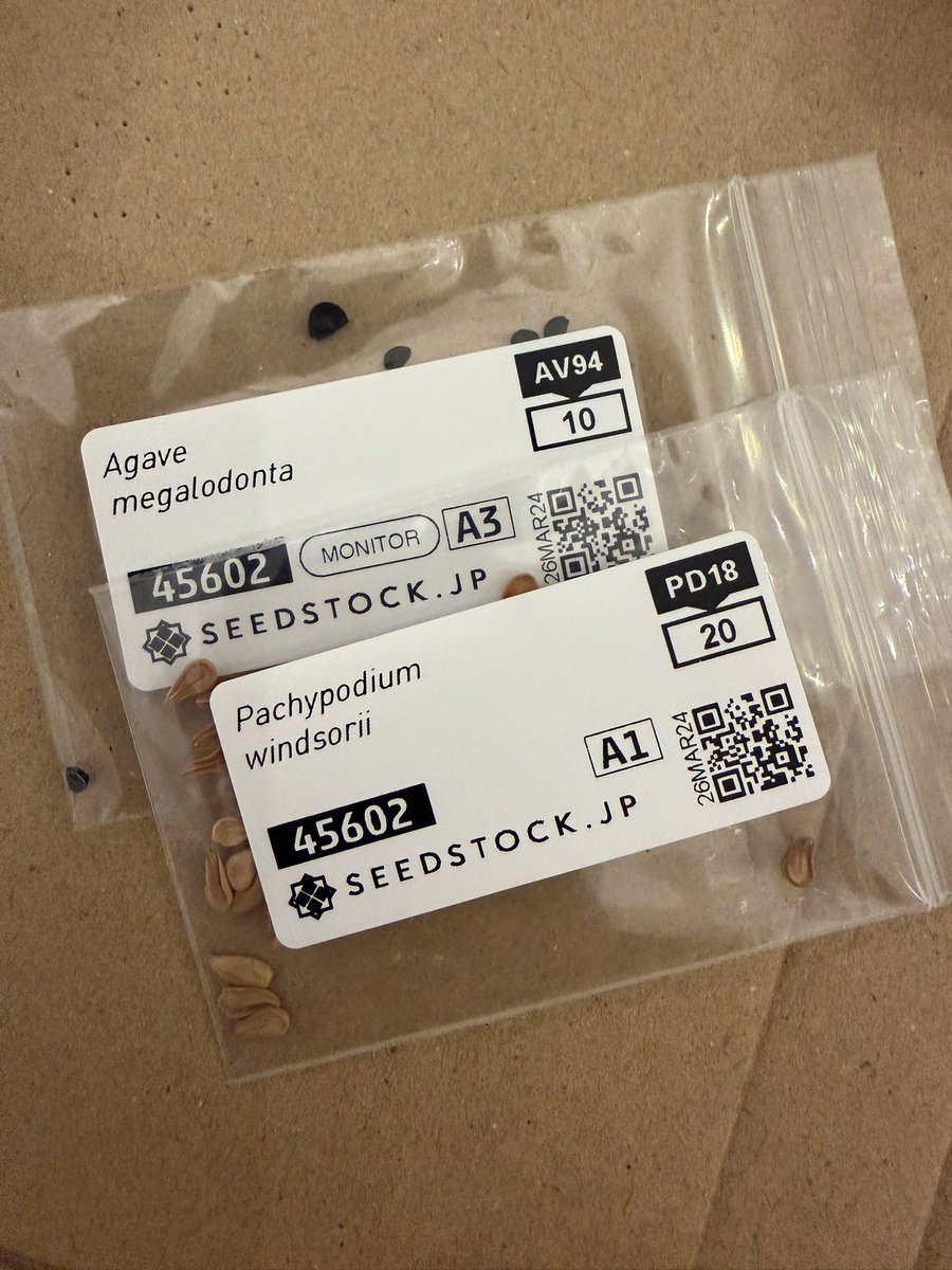 まゆみに tweet media