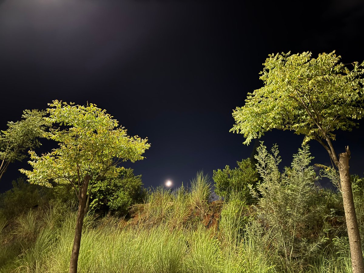 Lab-Mech tweet media