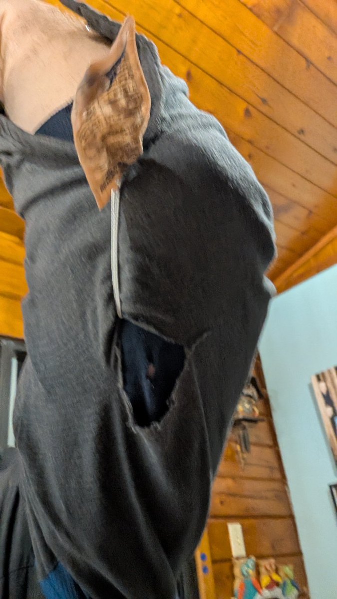 V10Greg's tweet photo. @cintas_canada Here's how it came back, with repair tag still attached.  Doing great! https://t.co/mDQioDkfOw