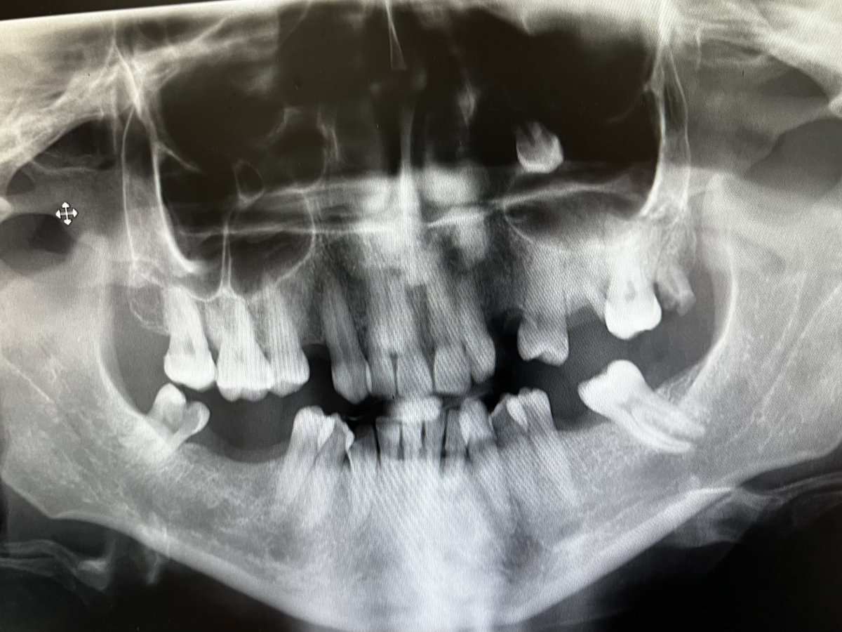 john marston tweet media