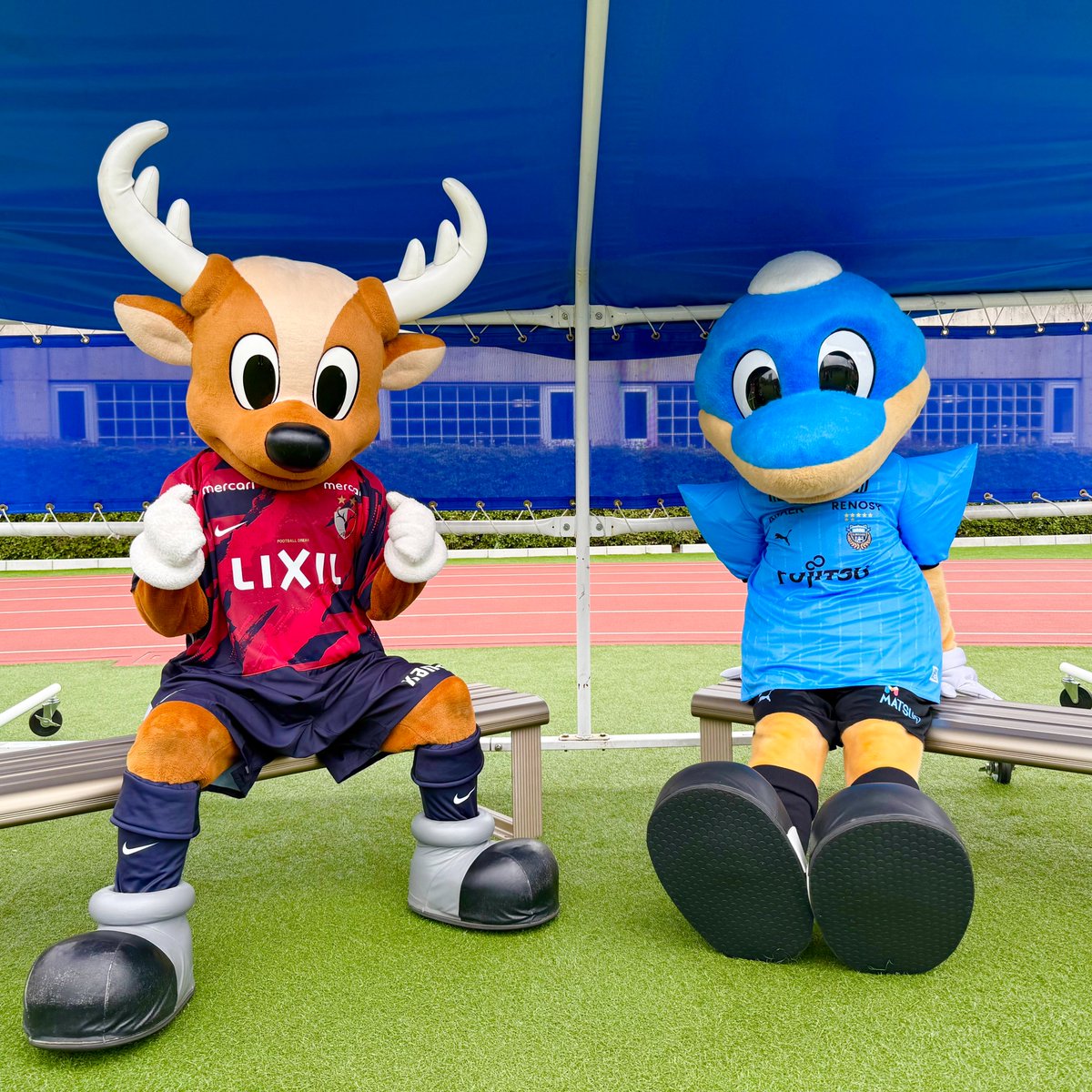 アントン🦌(しかおファミリー)【公式】@YouTubeやってるよっ tweet media