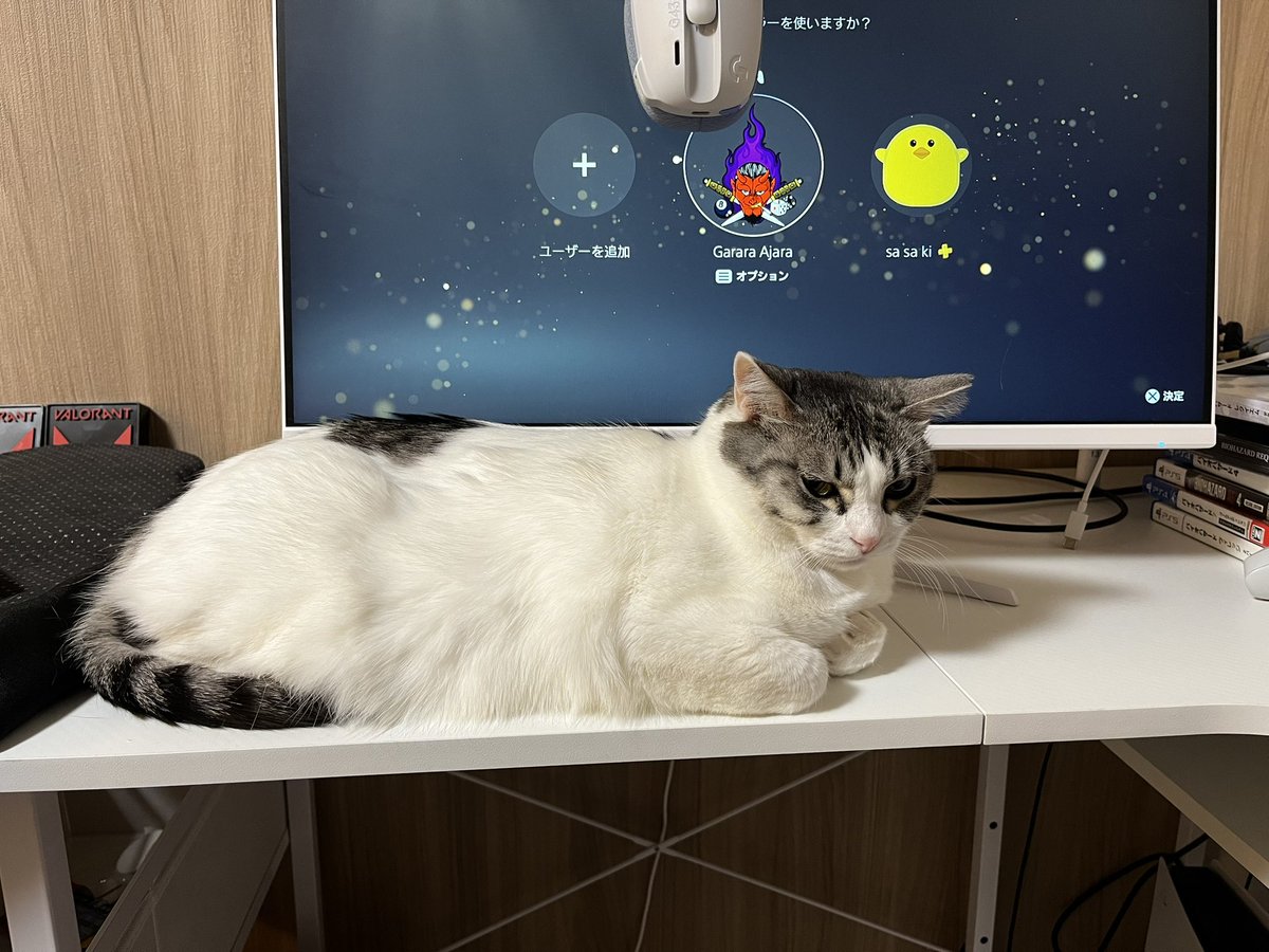 ささき tweet media