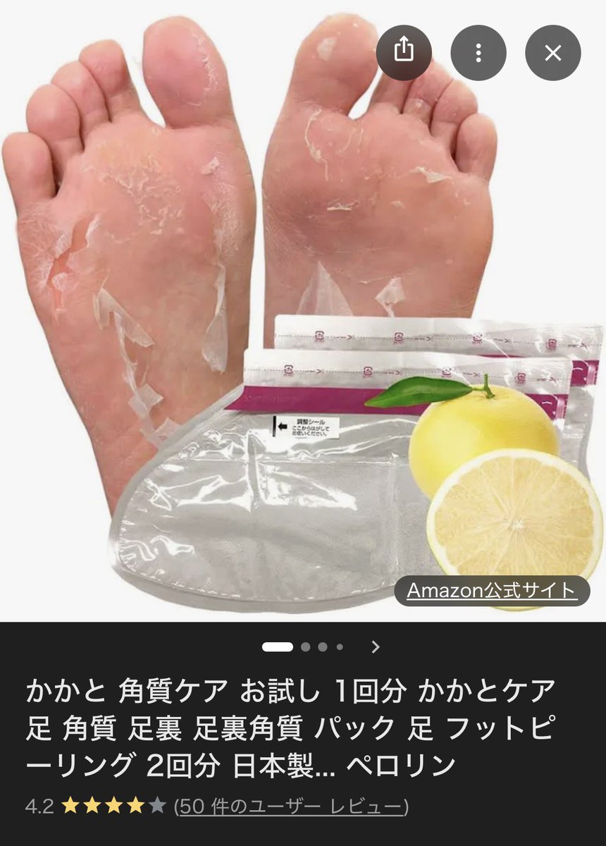 マダムなぽっちゃん🐶🐾 tweet media