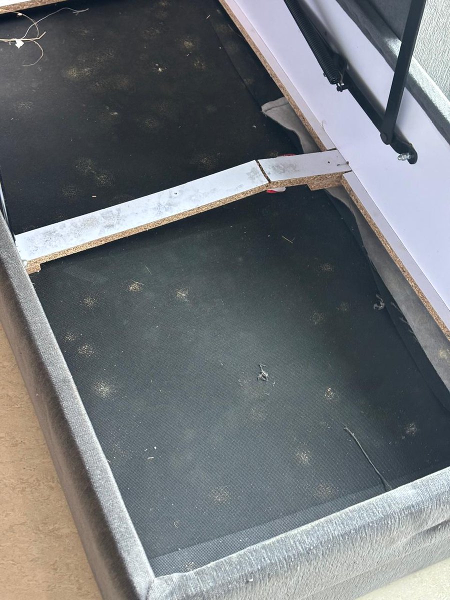 Param Dhar tweet media