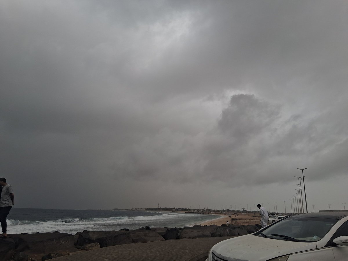 سكار tweet media