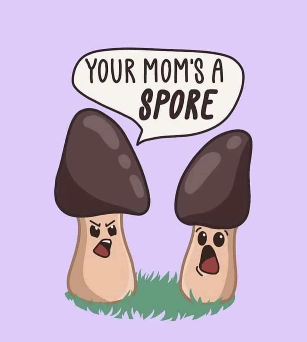 the garden gnome tweet media