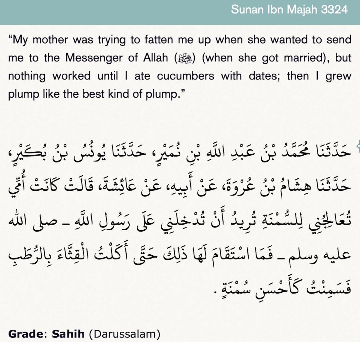 Bruxão petersoniano 🇮🇹 tweet media
