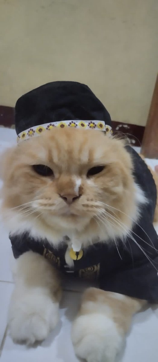 Arthur-nya mas Jawa tweet media