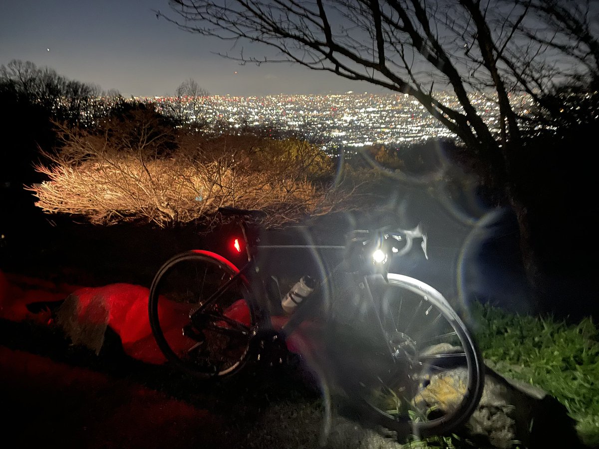 Y.ヤナギ tweet media