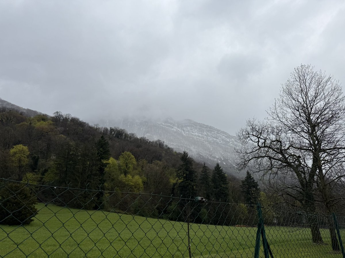 Valérie Thuillier Orsini tweet media